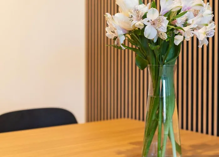 Appartement Native Dluga 24